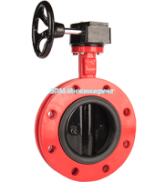 Затвор дисковый поворотный межфланцевый Рашворк серия 216 от компании ООО "ЭПМ-Инжиниринг"